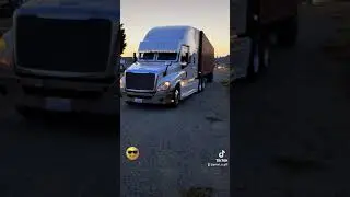 Freightliner Cascadia ,😎 #customrigs #truckvideo #bigrigs #punjabitrucker #pnw #viral #youtube👌🏾
