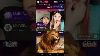 gifting on tiktok