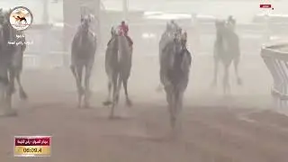 الشوط 1 ( كأس الثنايا البكار المفتوح )( مبشرة)   لـ مانع علي بن حماد الشامسي 8:55:3