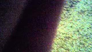 Catvids(9)