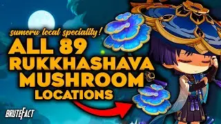 All 89 Rukkhashava Mushrooms Locations | Fast Farming Route | Genshin Impact Wanderer Ascension Mats