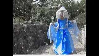 Princess Costume. Ice Queen Costume