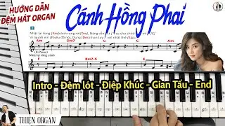 CÁNH HỒNG PHAI Hướng Dẫn Đệm Hát Organ cực hay chỉ trong 10 phút || THIỆN ORGAN