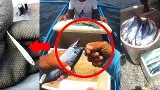 Catch a Lot of Fish using a piece of Metal Rod | DIY Mackerel Tuna Fishing using Welding Electrode