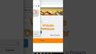 Website Developer Project