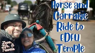 Horse and Carriage ride to EDFU Temple/Love, Life and Travels