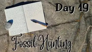 Nature Journal Day 19 | Walking the Foreshore Hunting Fossils | Nature Journaling Vlog