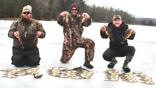 ERIE sized PERCH & BASS (MY BEST DAY EVER ICE FISHING)