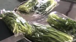 Automatic vegetable flow packing machine with thermal Date printer