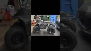Razor quad 48v 2000 watts