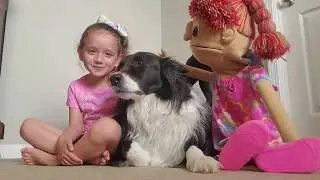 Animal Safety with Kentucky Kids on the Block