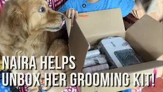 Unboxing AGARO Supreme Pet Grooming Kit with My Golden Retriever 🐾 | First Impressions & Review