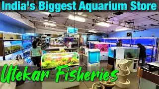 India's Biggest Aquarium Store I Utekar Fisheries I Mumbai