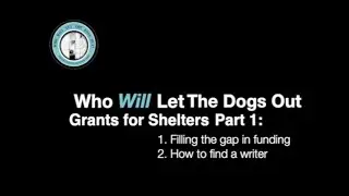 How to get grants for animal shelters and rescues-PART 1