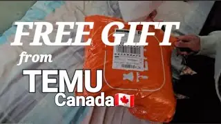 THE BOYS RECEIVED FREE GIFTS FROM TEMU CANADA 🇨🇦