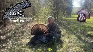 Self Filmed Strutting Long beards/Spring Turkey Hunting