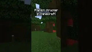 Rarest structer in minecraft #shorts #minecraft