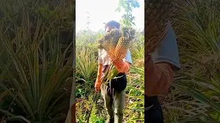 #minivlog short sopuri koting #shortvideo vairal videos 🎶🥀