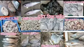 Mumbai CST Fish Market | मुंबईमधील सर्वात स्वस्त फिश मार्केट | Cheapest Mumbai CST Fish Market
