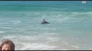 Surf de Peito - marola no Per&oacute;.