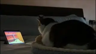 Let’s Watch tv