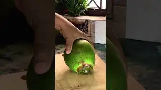 Tender Coconut Cutting,  Crunchy Sound #relaxing #asmr 🎼  Cutting fails 🤩