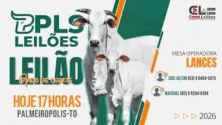 Canalleiloes.com | LEILÃO GADO DE CORTE PLS LEILÕES | PALMEIRÓPOLIS- TO  02/02/2026