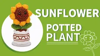 1 Potted Plant
