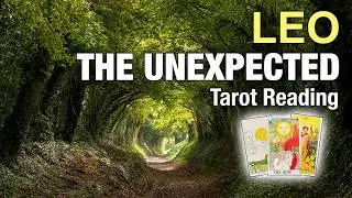 LEO THE UNEXPECTED 