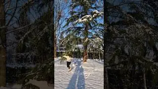De la neige, un ballon, que demander de plus 😉 #snow #footfreestyle #streetfootball #footballskills