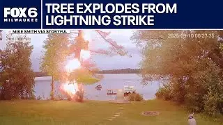Lightning strike explodes tree in Wisconsin | FOX6 News Milwaukee
