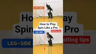 cricket tips batting tips, 