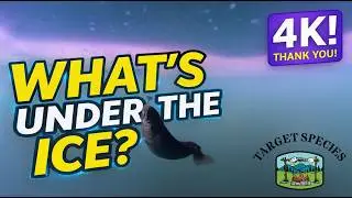 INSANE Under‑Ice Footage! First Ice & Fish Everywhere!