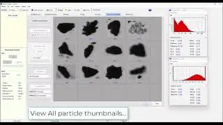 Petroleum Lost Circulation Material (LCM).  Particle Size and Shape Analysis - CCM Type #1