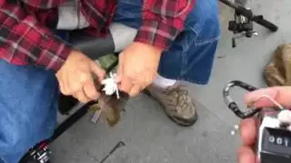 Fishing in Santa Cruz (part 7)