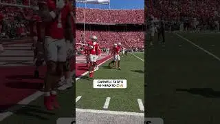 This look of Carnell Tate's TD is 🔥 #cfb #football #ohiostate #CollegeFootball