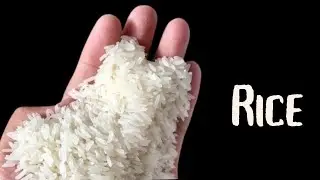 eating challenge /asmr raw rice eating/eating raw rice asmr/funny video