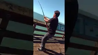 Massive great white Ventura pier