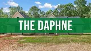 The Daphne Plan