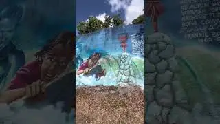 Hawaii murals side of the road