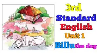 3rd Standard||English||Unit 1||Billu the dog||Malayalam Explanation[Teaching classroom]