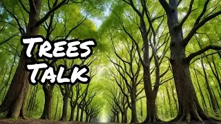 Discover the hidden world of tree communication and cooperation in nature