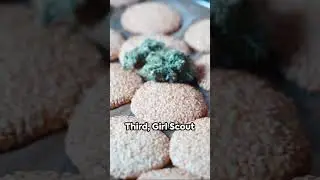 High Five  Top 5 US Cannabis Strains 2024