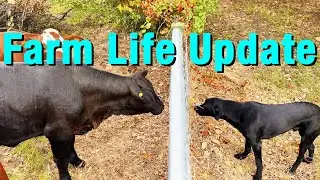 Friday Night Check-in | Football, Farm, and Faith