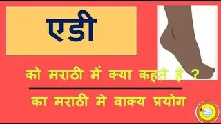 Adi Ko marathi mai kya kahate hai | एडी को मराठी में क्या कहते है