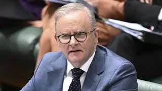 Albanese government criticised for claiming &lsquo;credit&rsquo; over Gaza peace deal