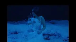 In a Swan Dive - Pamela Sue Mann