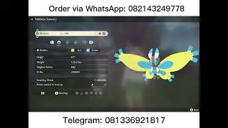 Mothim - Pokemon Legends Arceus