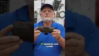 Restoring Old Tools: Marv's Fixit Shop's Sledgehammer #shorts
