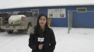 The South Peace SPCA unveils plans for new facility